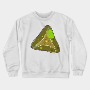 Diatom - Ditylum (color) Crewneck Sweatshirt